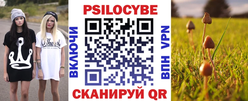 omg tor  Грязи  Галлюциногенные грибы Psilocybine cubensis 